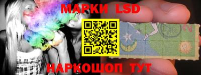 прущие грибы Будённовск
