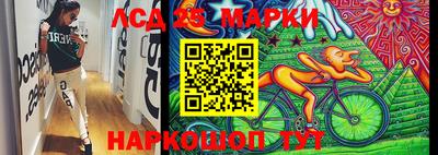 прущие грибы Будённовск