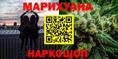 прущие грибы Будённовск