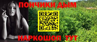 прущие грибы Будённовск