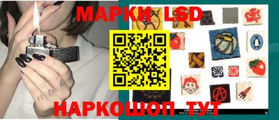 прущие грибы Будённовск