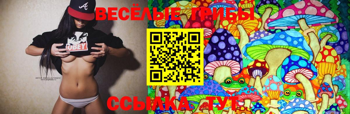 Галлюциногенные грибы мицелий  Вход с VPN  Урус-Мартан 