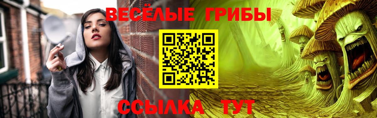 Галлюциногенные грибы мицелий Урус-Мартан