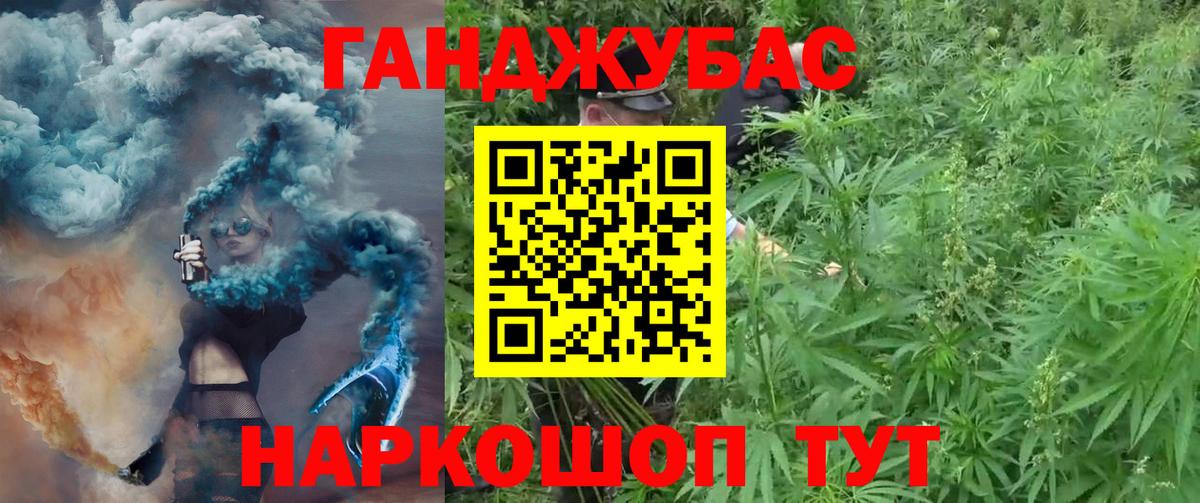Каннабис планчик  Канабис OG Kush  Вход с VPN  Урус-Мартан  Бошки Шишки тримм  Шишки марихуана конопля 